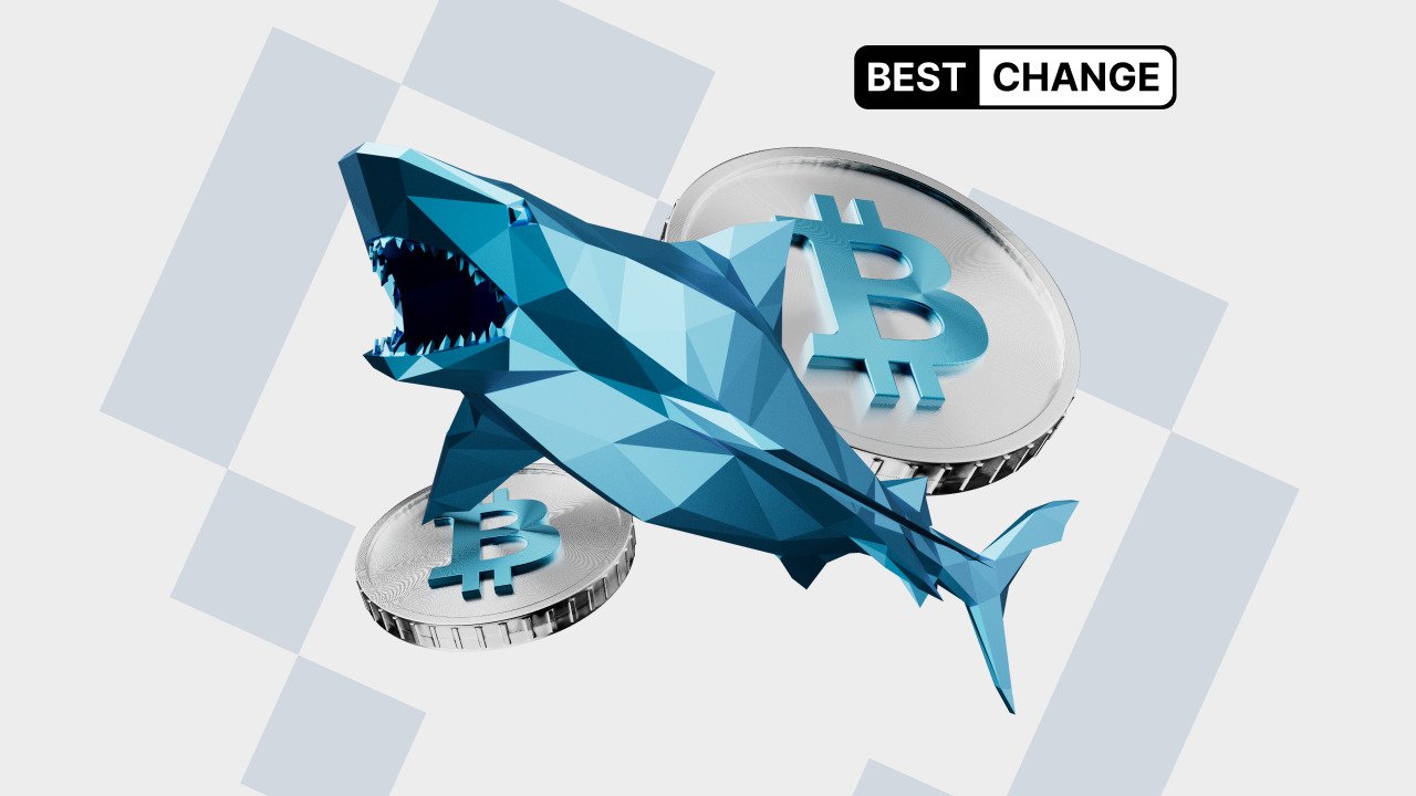 Not the largest, but highly influential: who are crypto sharks?