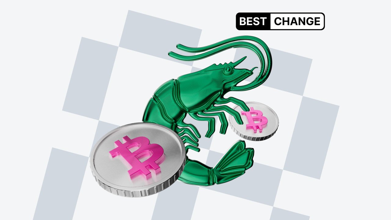 What is a shrimp in the crypto ecosystem?