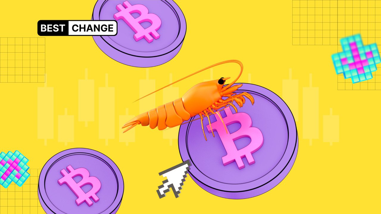 What is a shrimp in the crypto ecosystem?