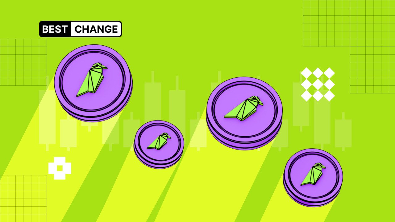 Cryptocurrency RAVE: an overview of a new coin that entered the top 30 digital assets